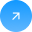 button icon